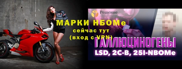 гашик Аркадак