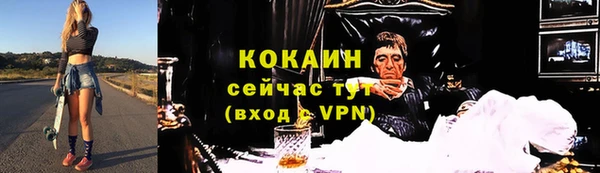 гашик Аркадак