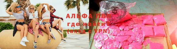 гашик Аркадак