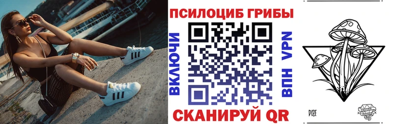 что такое наркотик  OMG маркетплейс  Галлюциногенные грибы Psilocybine cubensis  Ивантеевка 